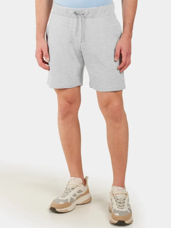 Best Sale Didriksons Fejan Shorts Aluminum melange